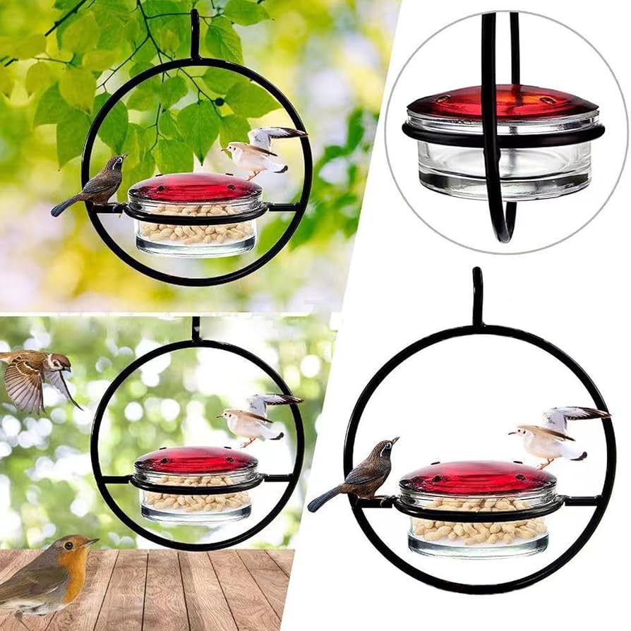 OFERTA 2X1 AURAFLY® ATRAE MAGIA VIVA A TU JARDIN
